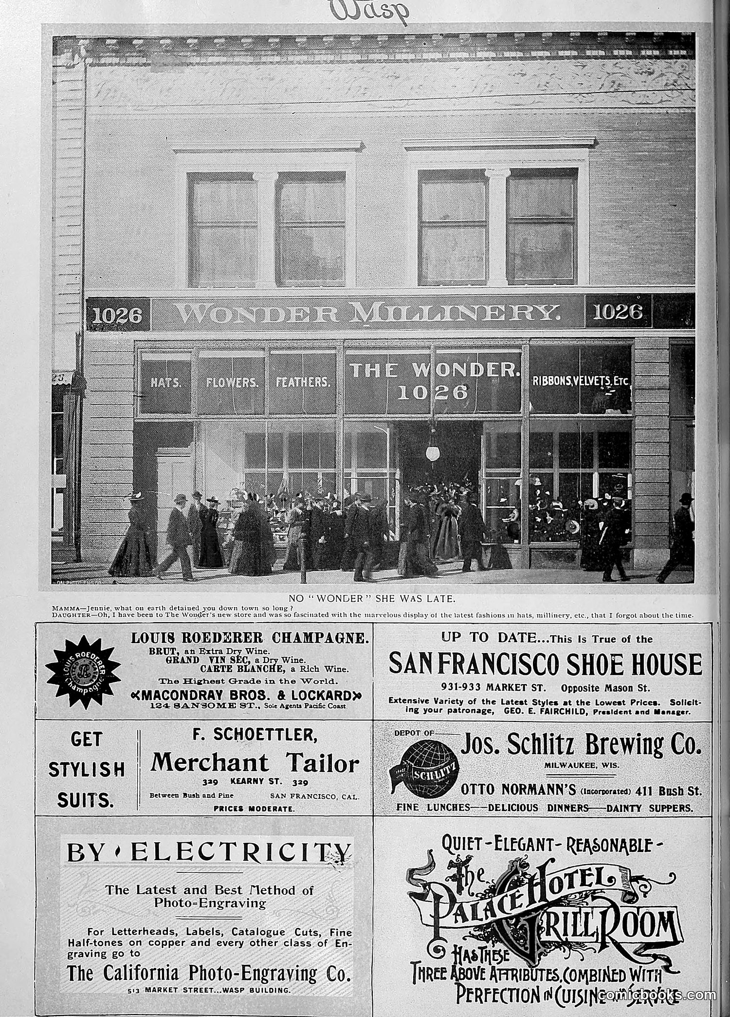 The Wasp — 1895 — page 995 of 1100