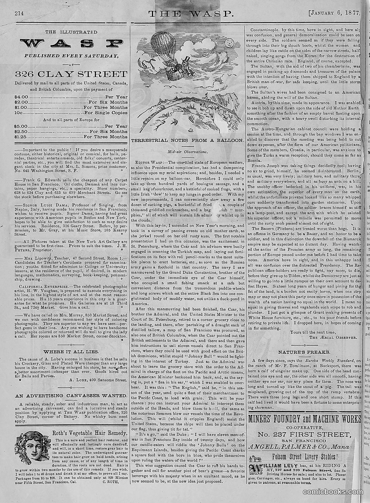 The Wasp — 1877 — page 9 of 378