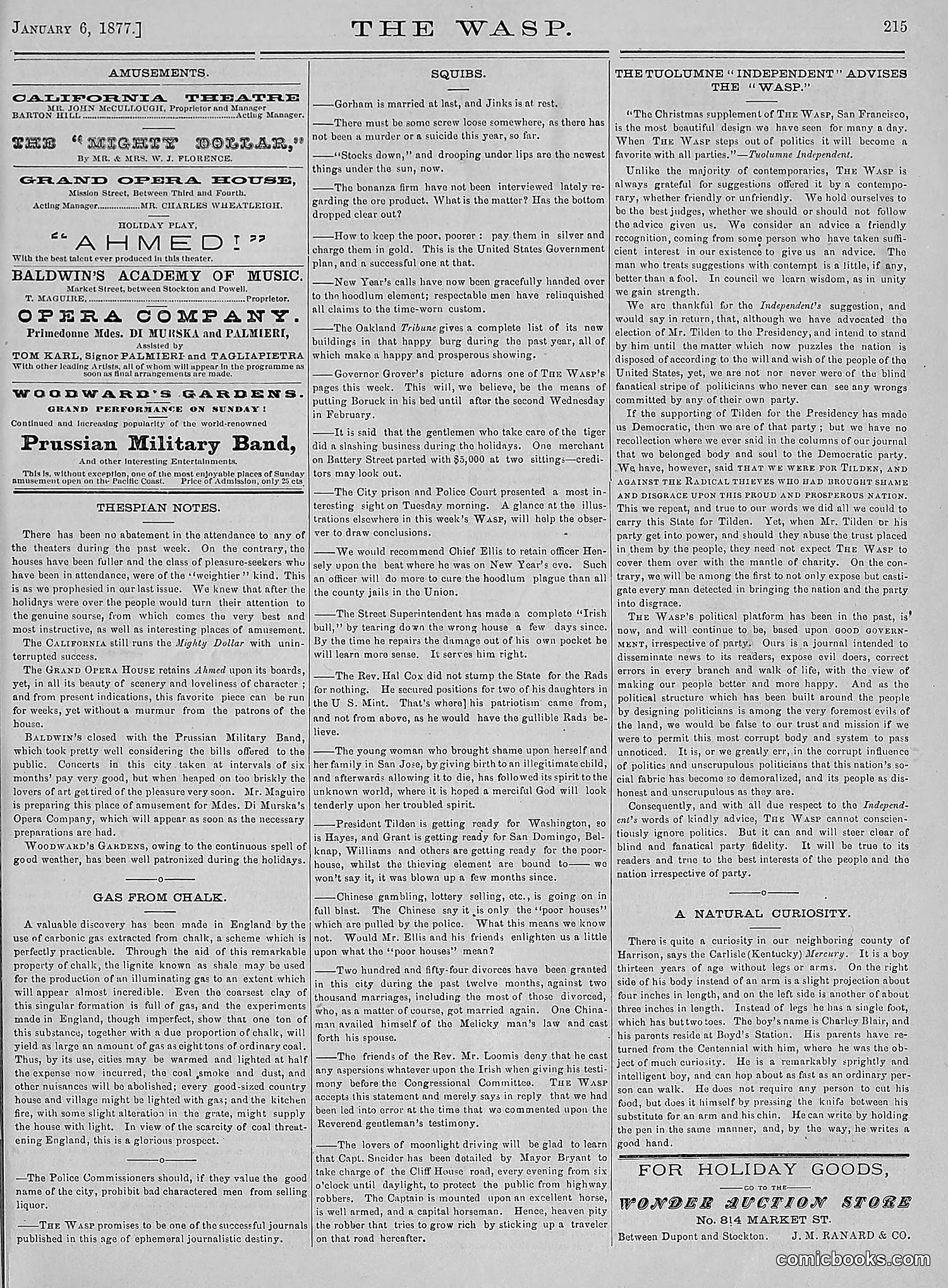 The Wasp — 1877 — page 10 of 378