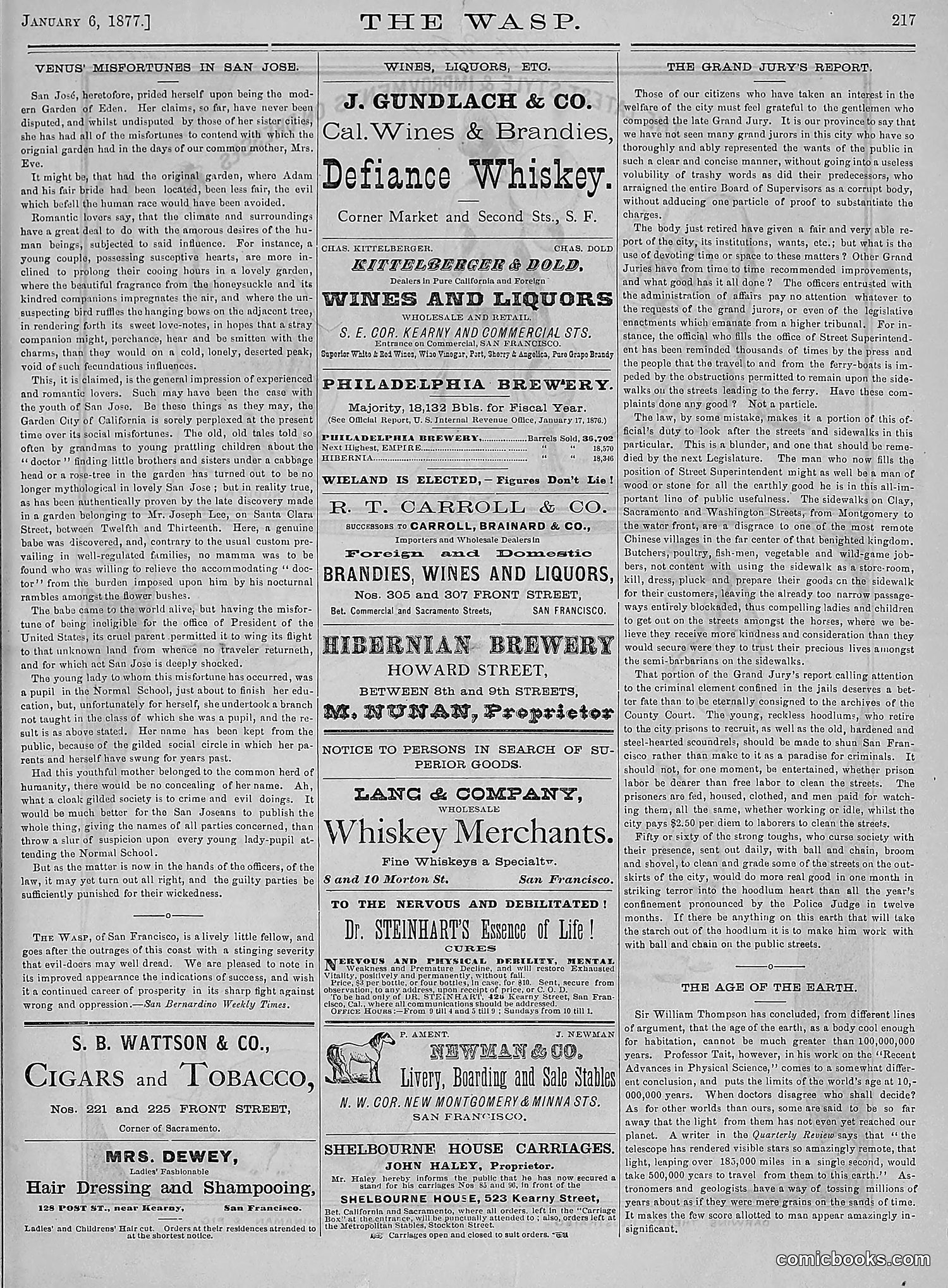 The Wasp — 1877 — page 12 of 378