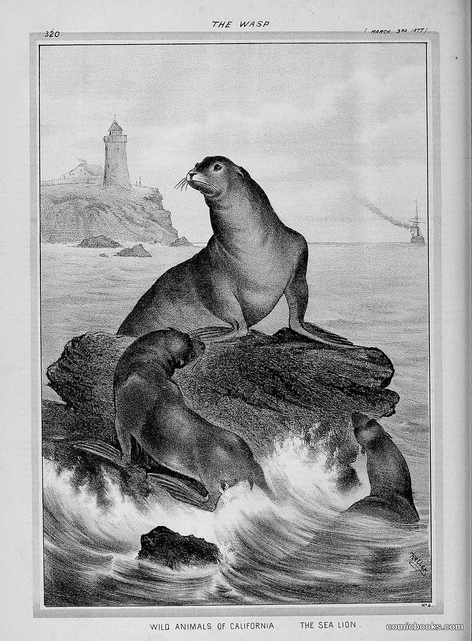 The Wasp — 1877 — page 115 of 378