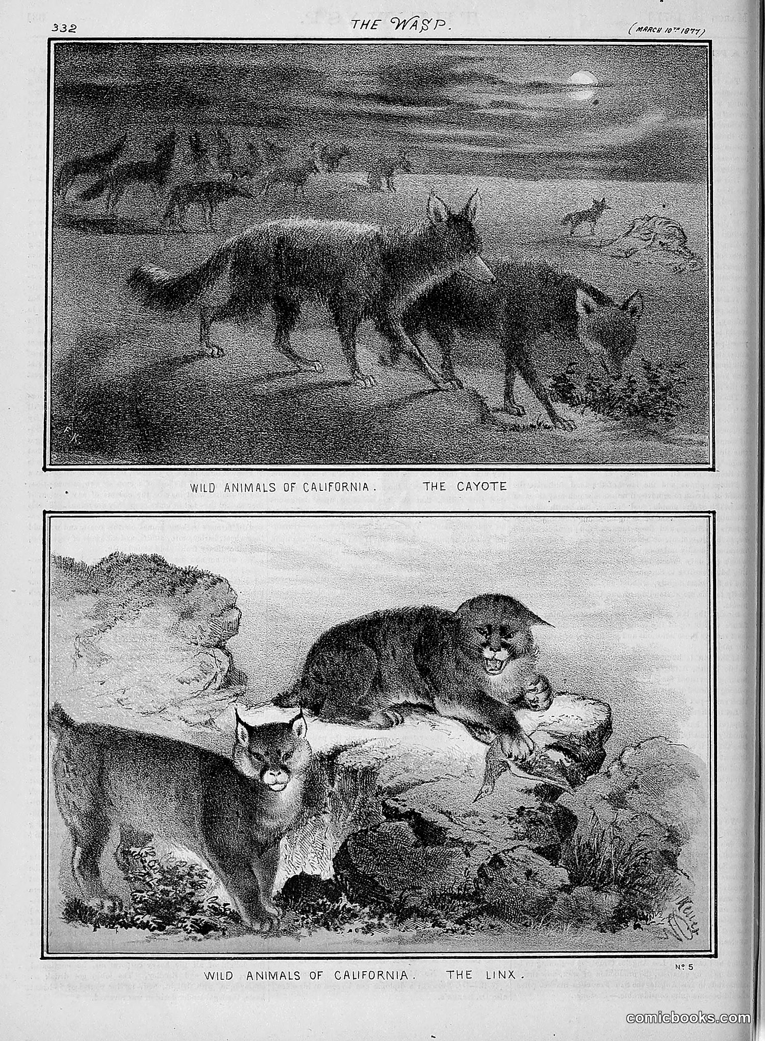 The Wasp — 1877 — page 127 of 378