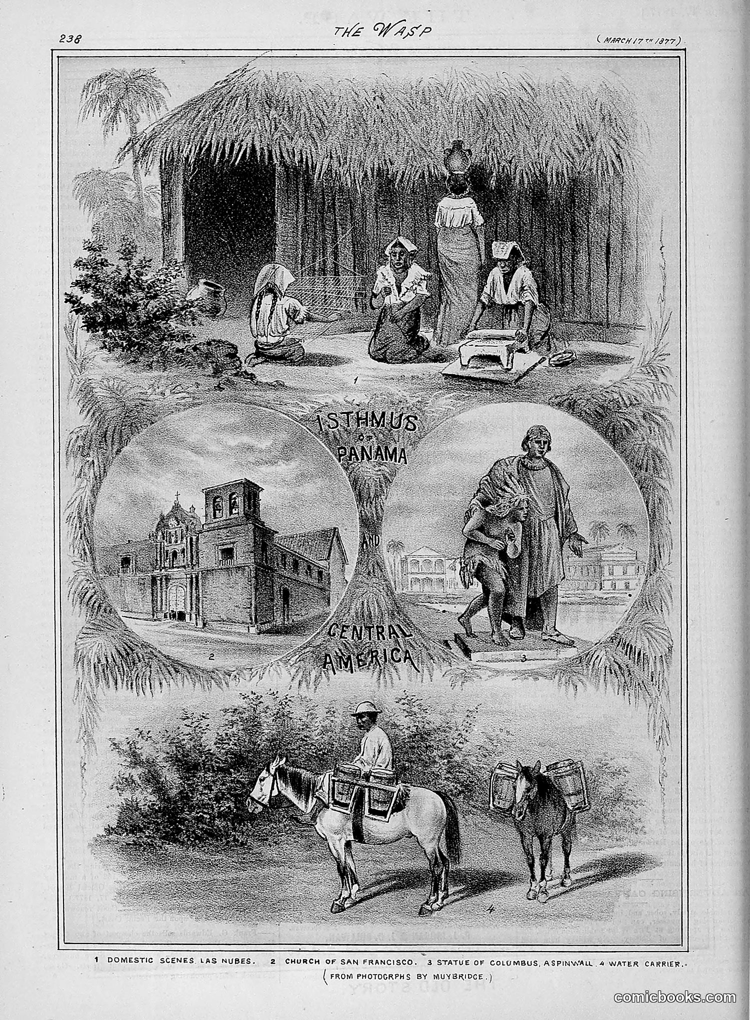 The Wasp — 1877 — page 133 of 378