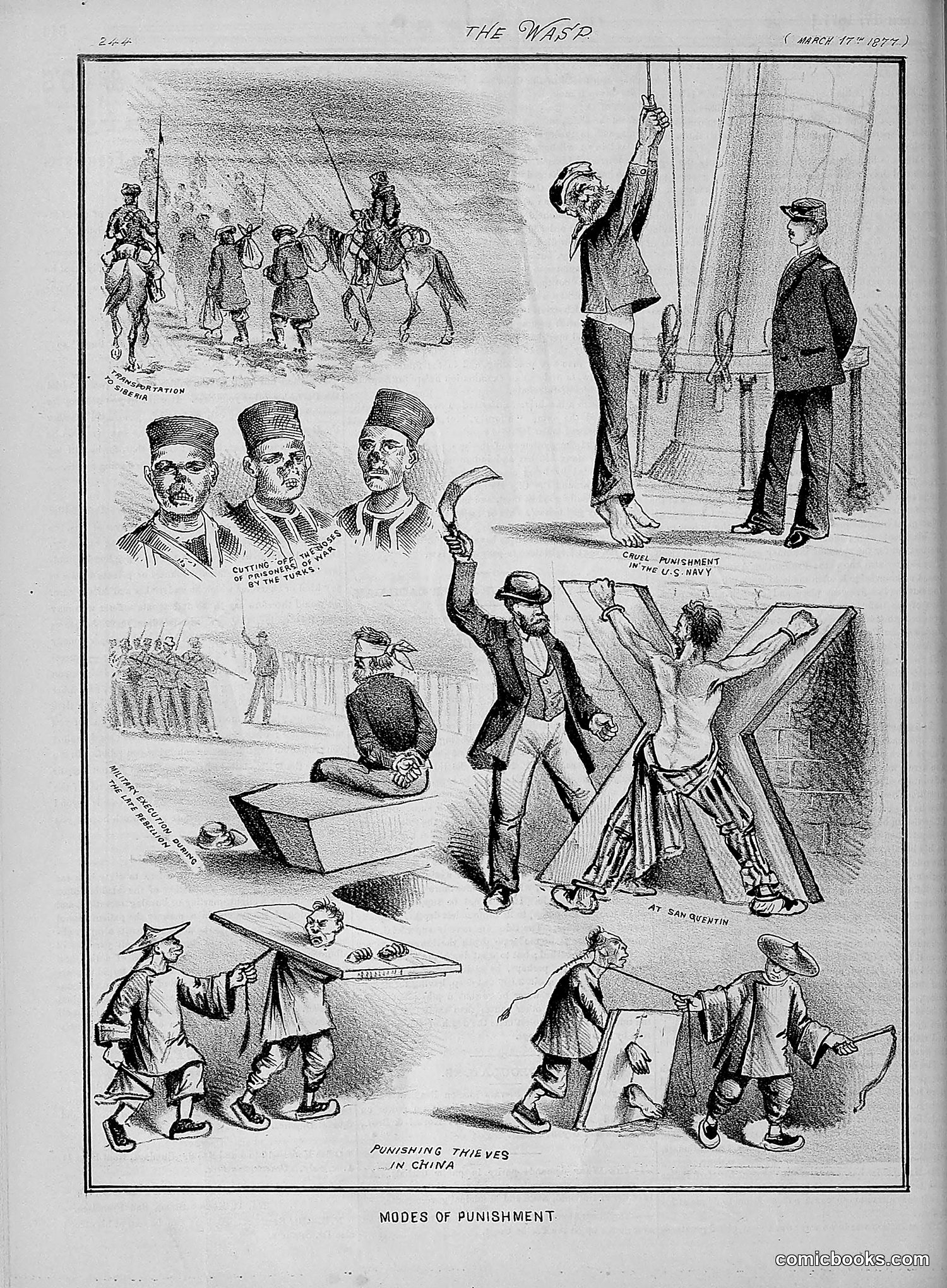 The Wasp — 1877 — page 139 of 378