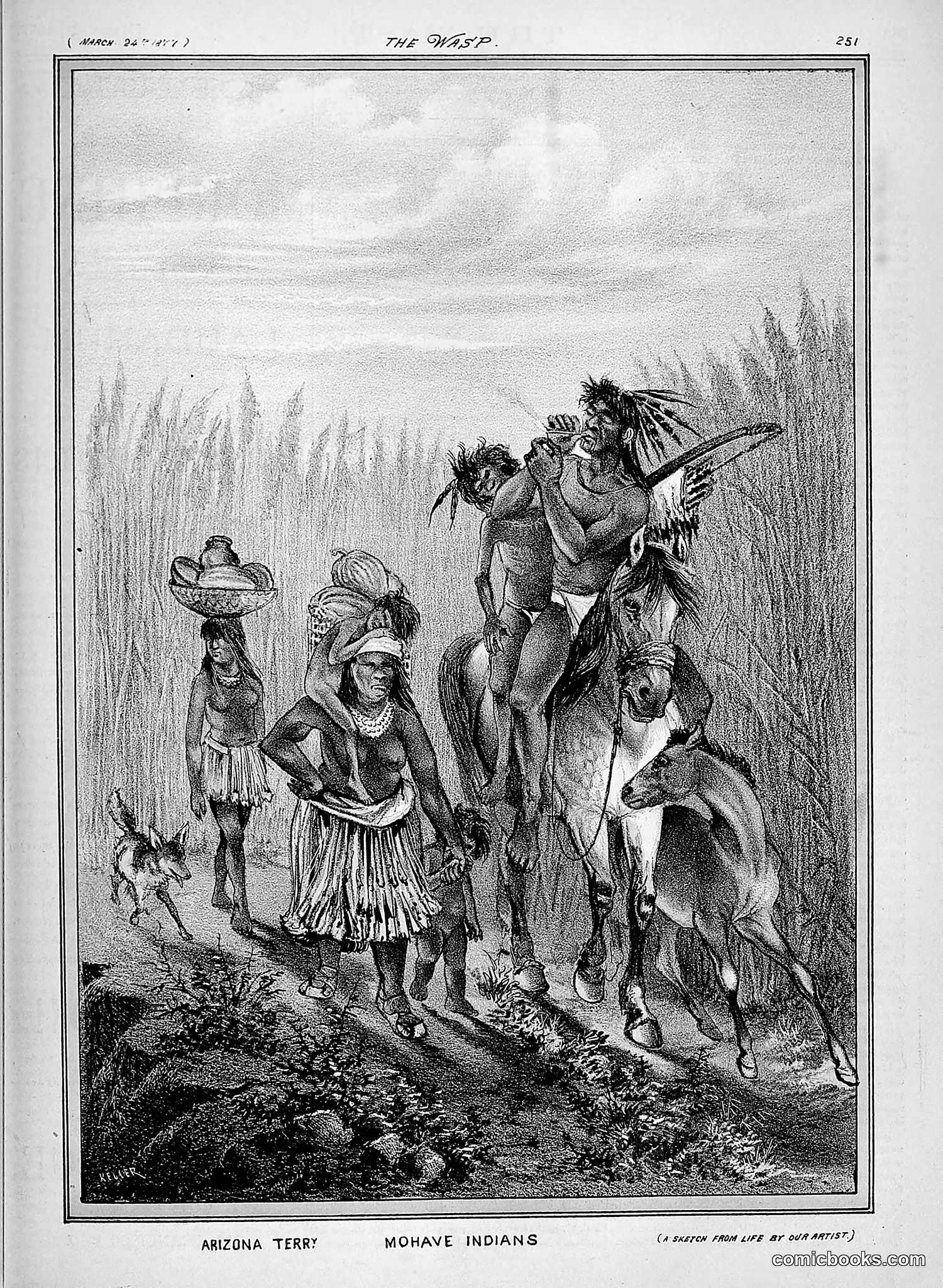 The Wasp — 1877 — page 146 of 378