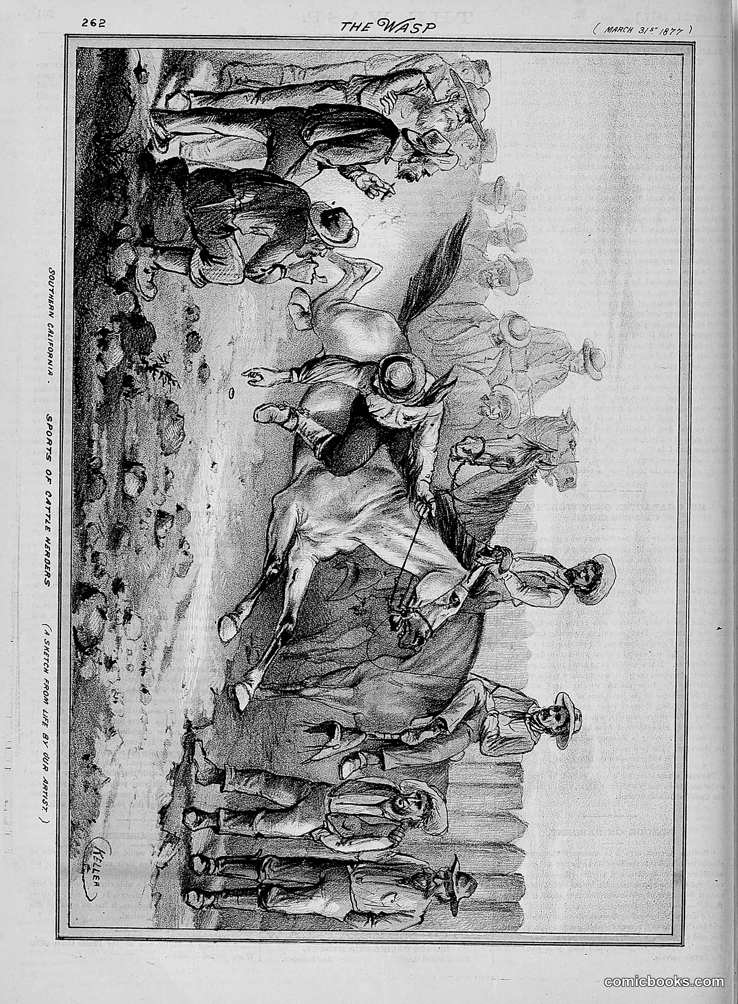 The Wasp — 1877 — page 157 of 378