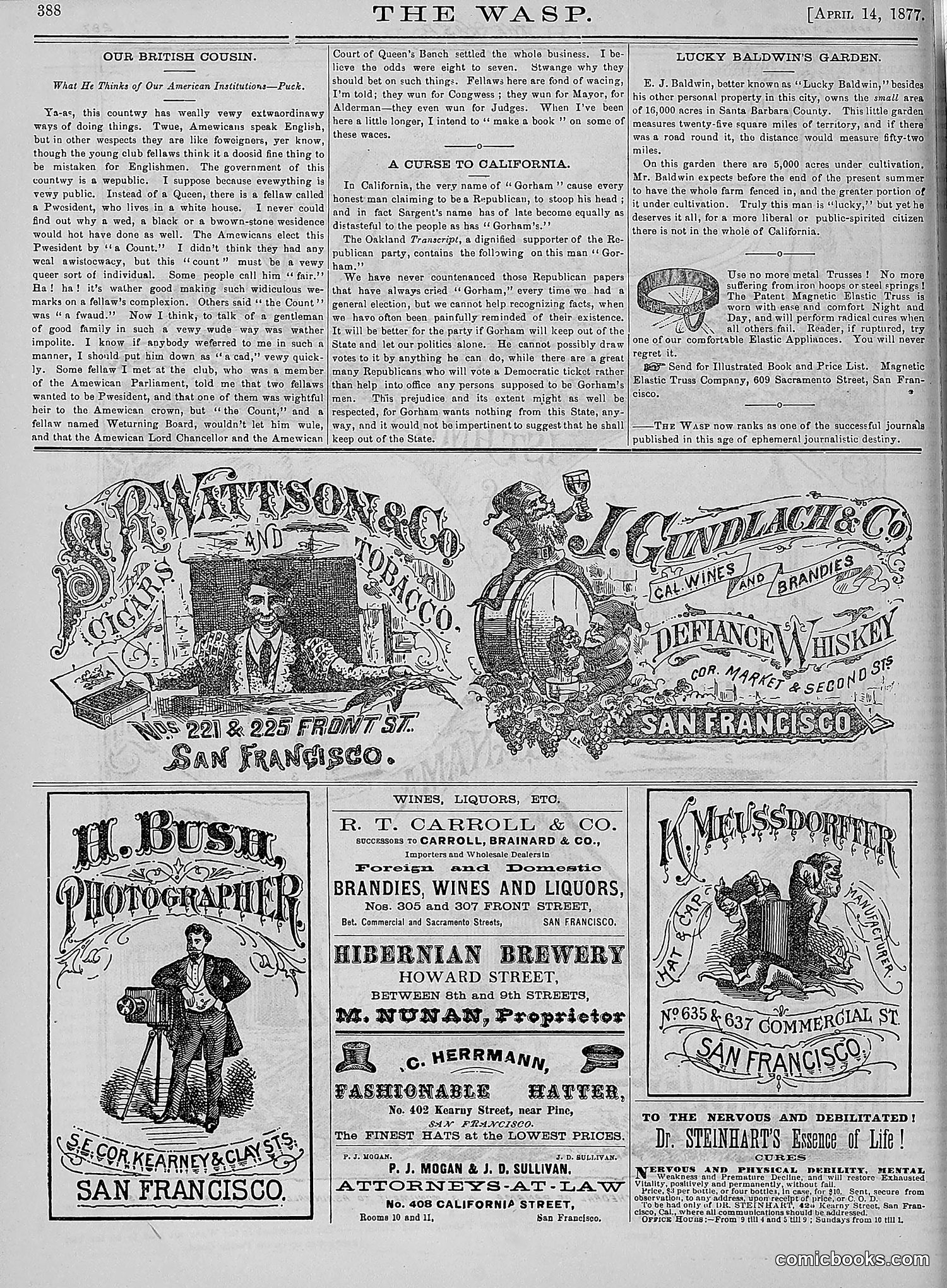 The Wasp — 1877 — page 183 of 378