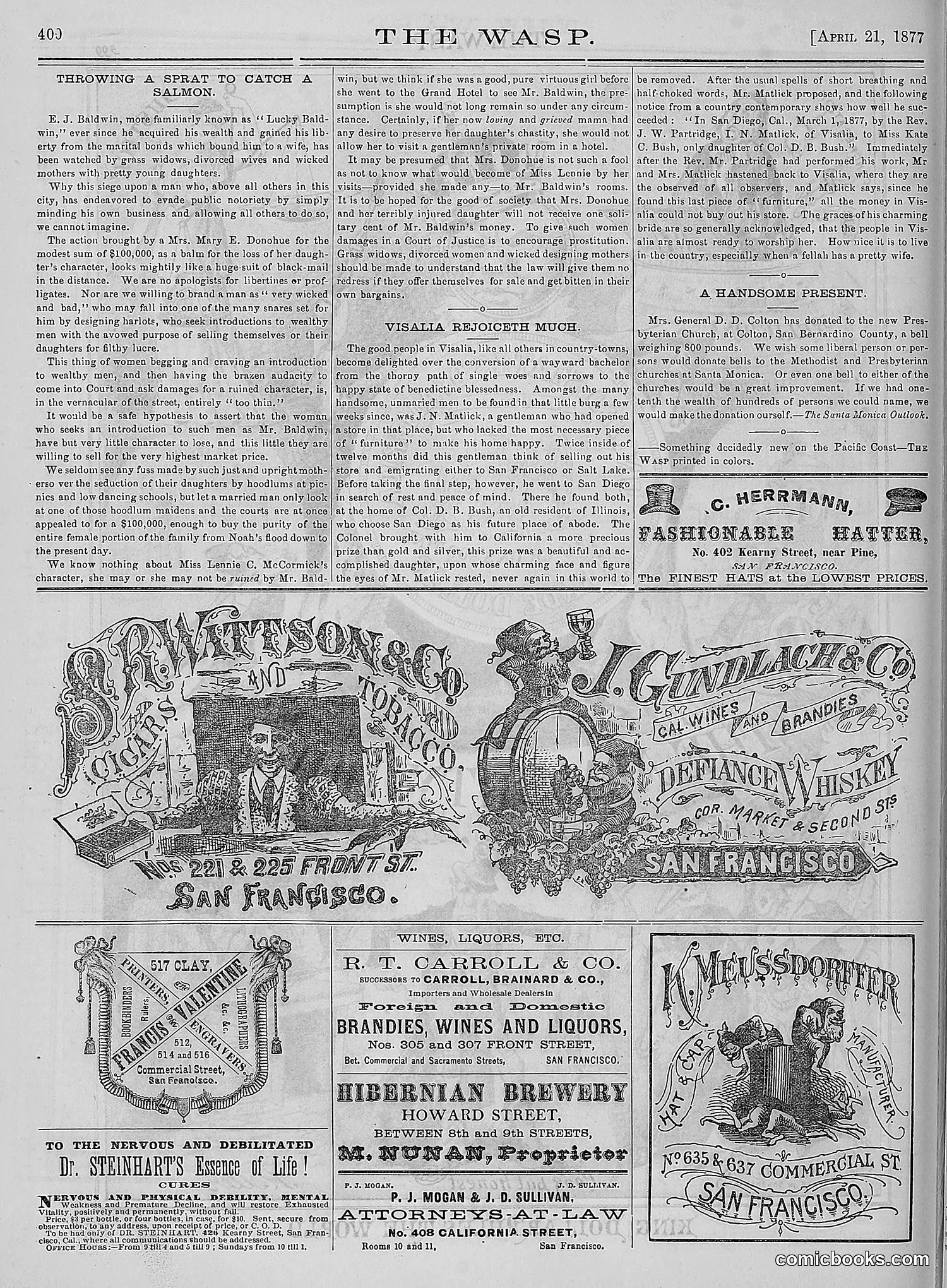 The Wasp — 1877 — page 195 of 378