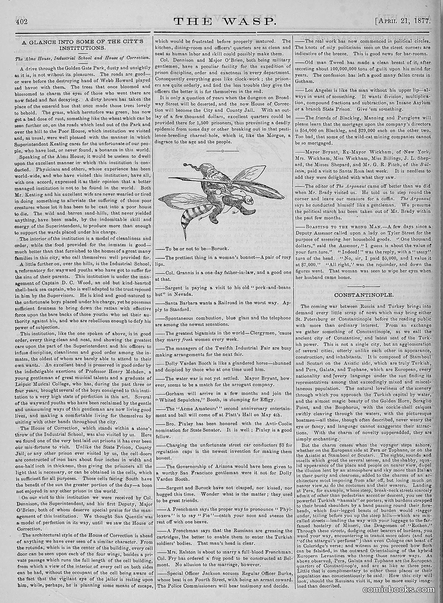 The Wasp — 1877 — page 197 of 378