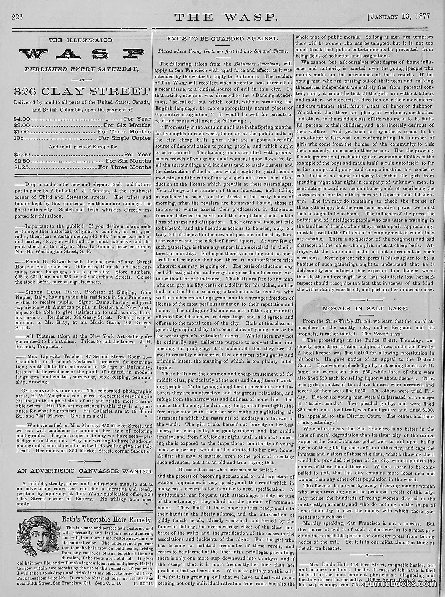 The Wasp — 1877 — page 21 of 378