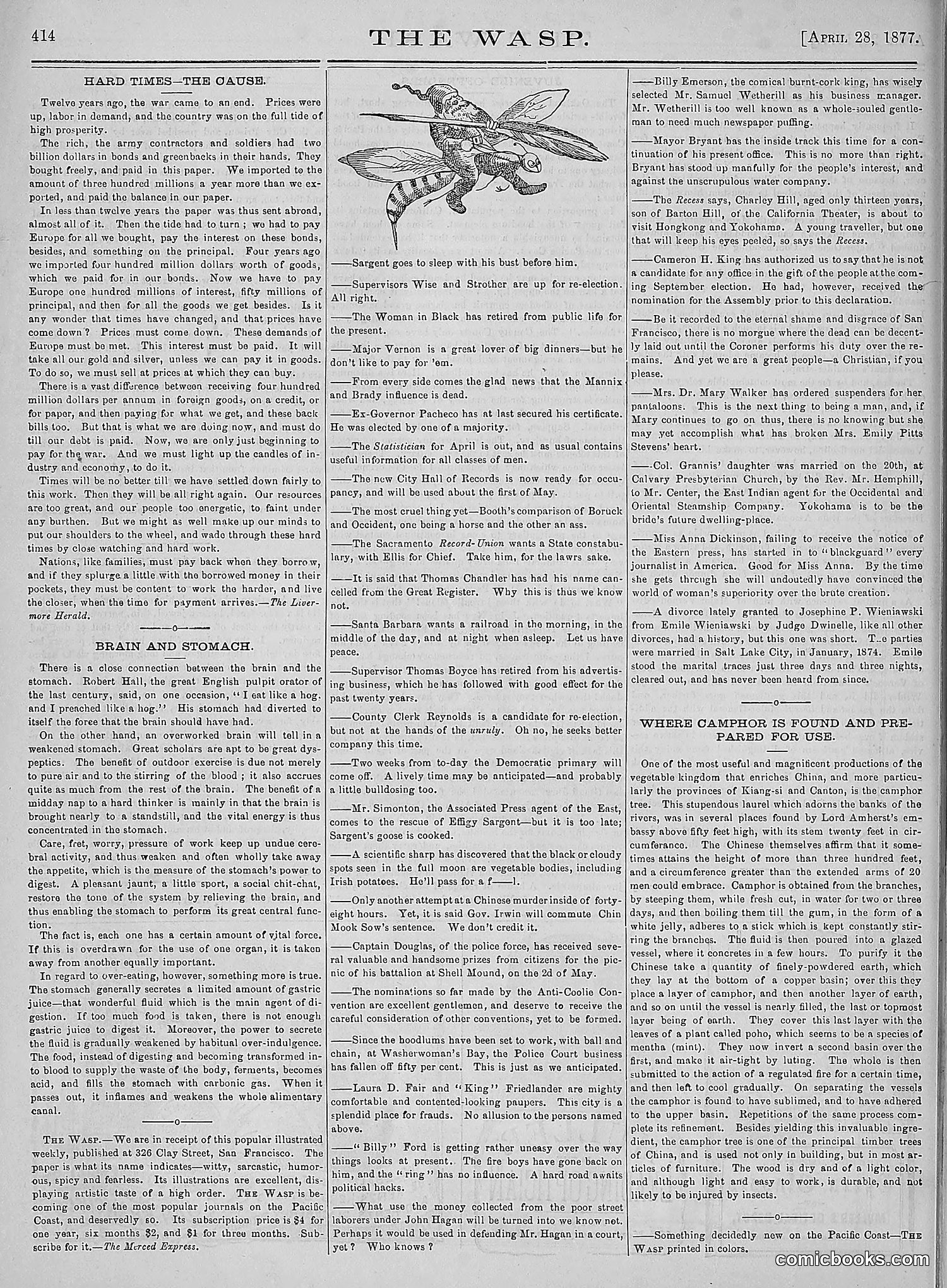 The Wasp — 1877 — page 209 of 378