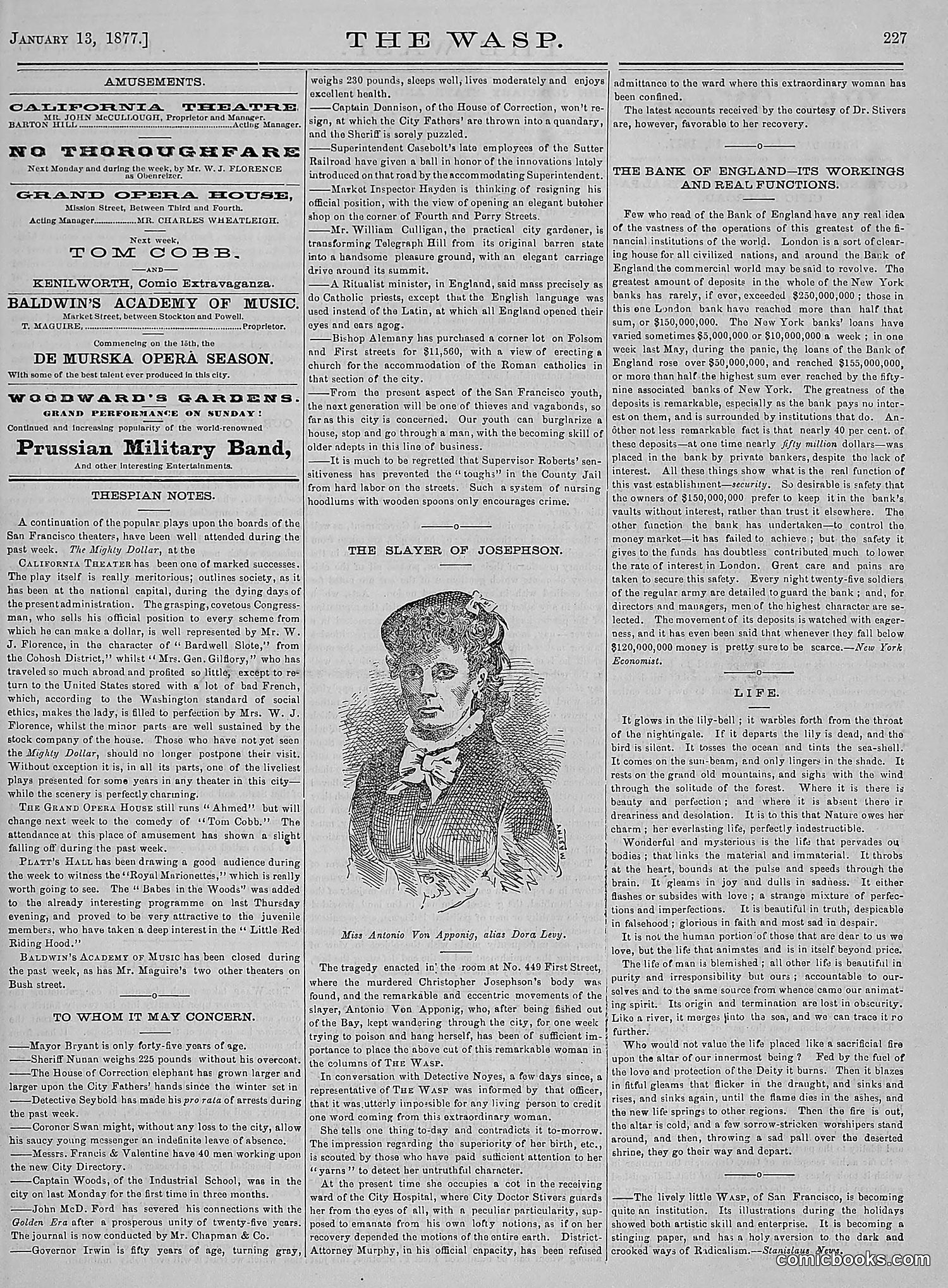 The Wasp — 1877 — page 22 of 378