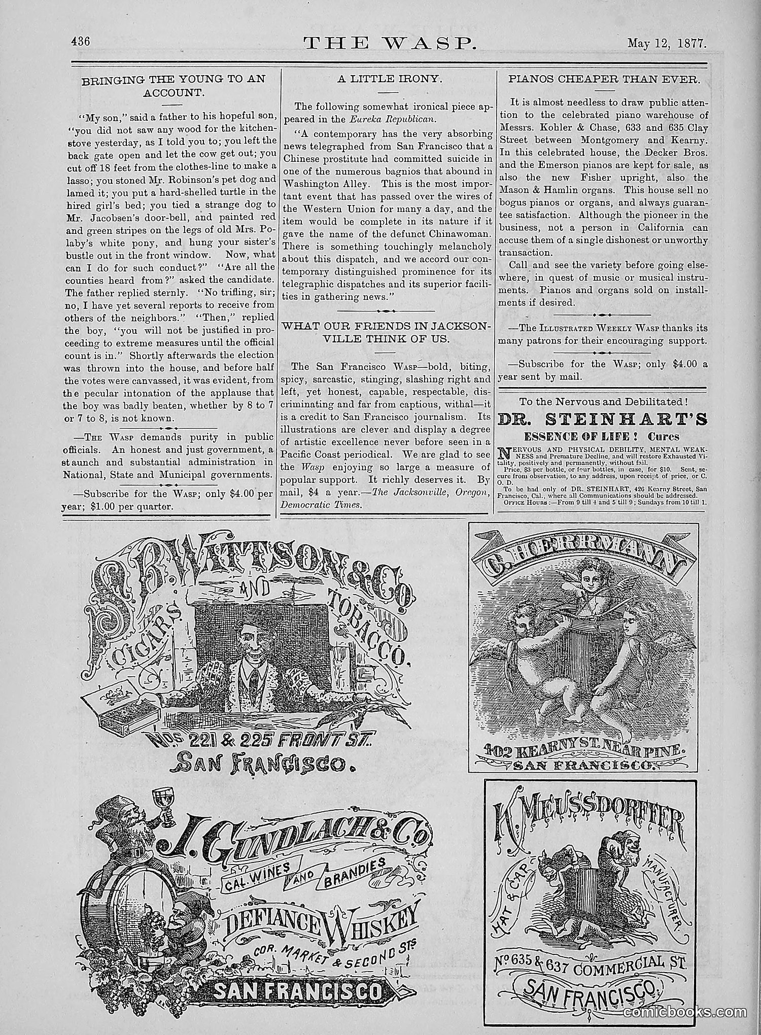 The Wasp — 1877 — page 231 of 378