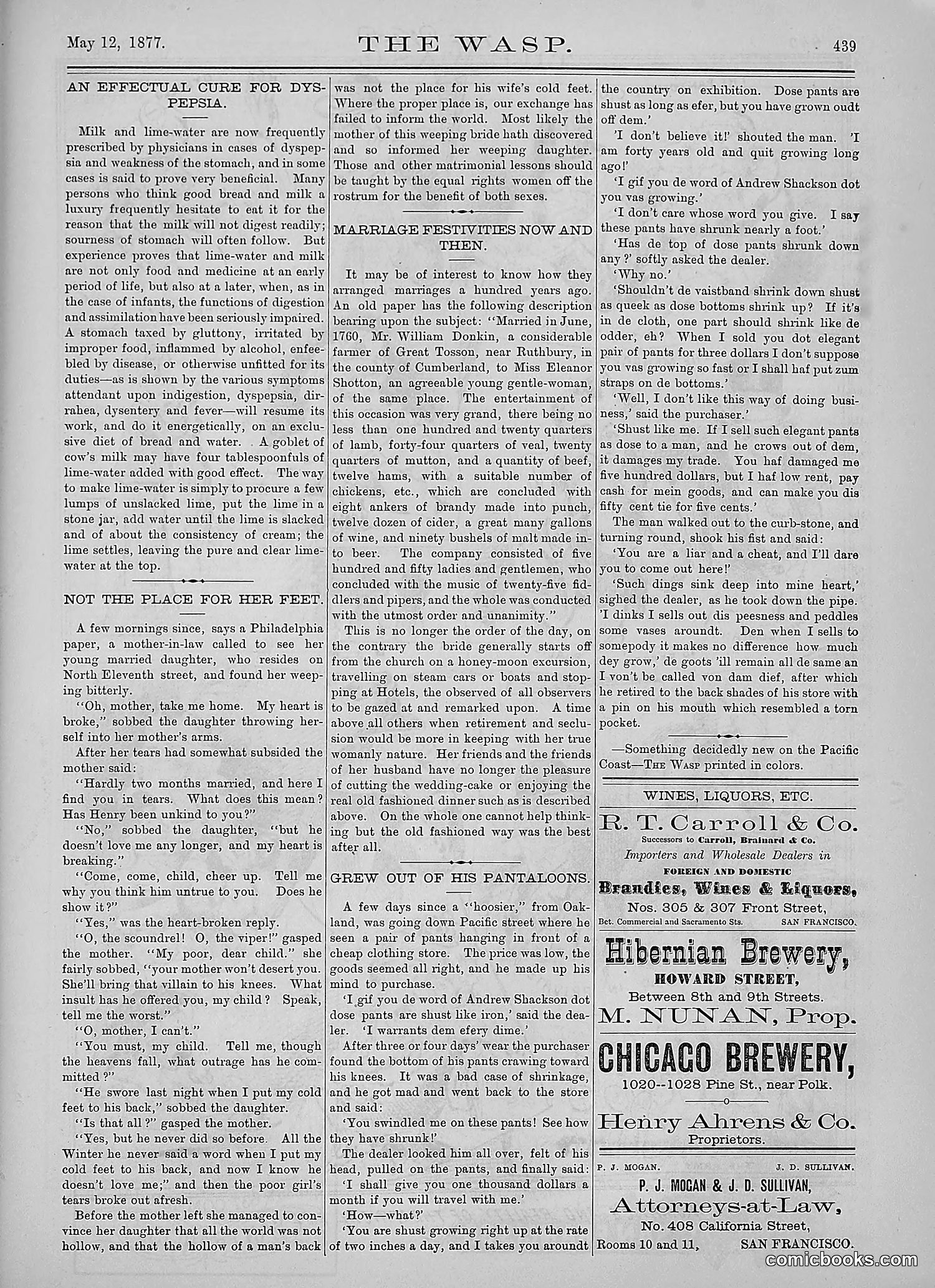 The Wasp — 1877 — page 234 of 378
