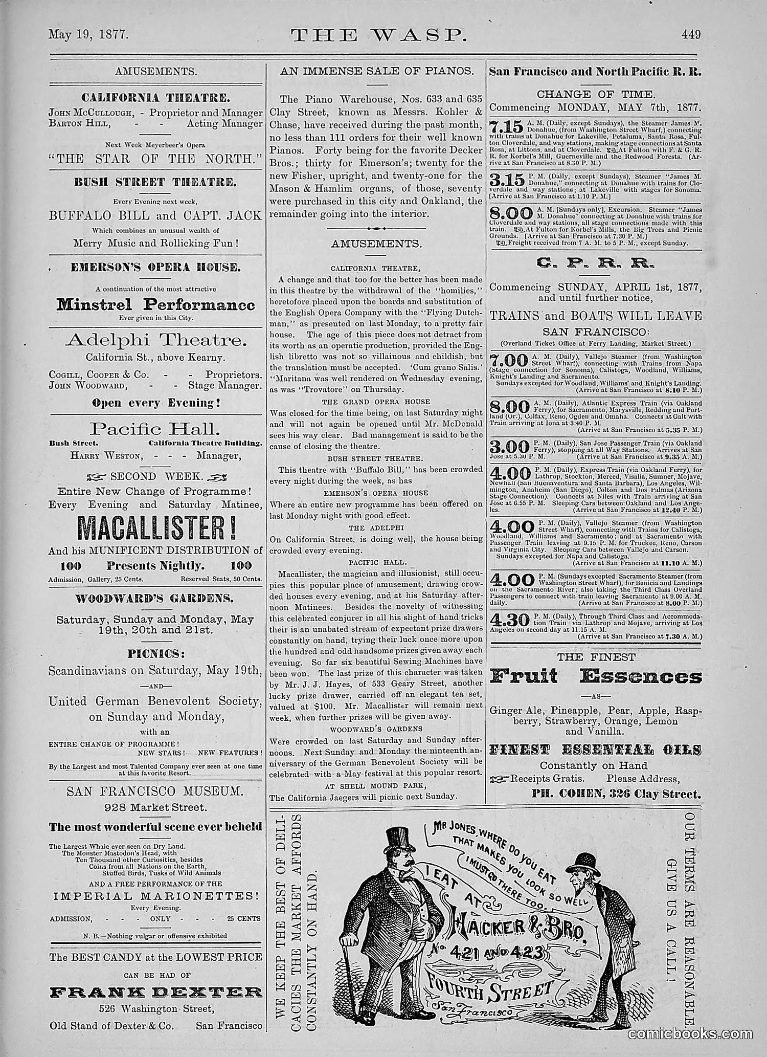The Wasp — 1877 — page 244 of 378