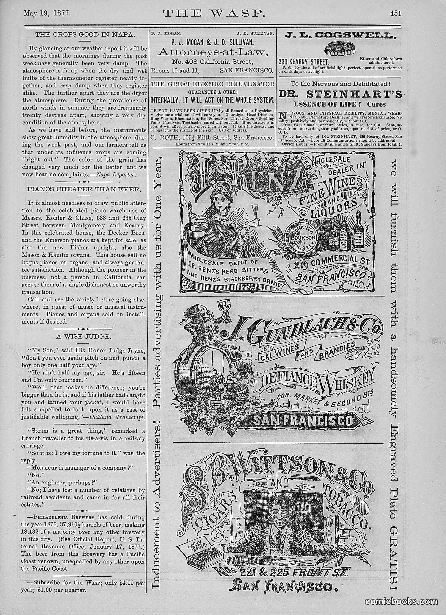 The Wasp — 1877 — page 246 of 378