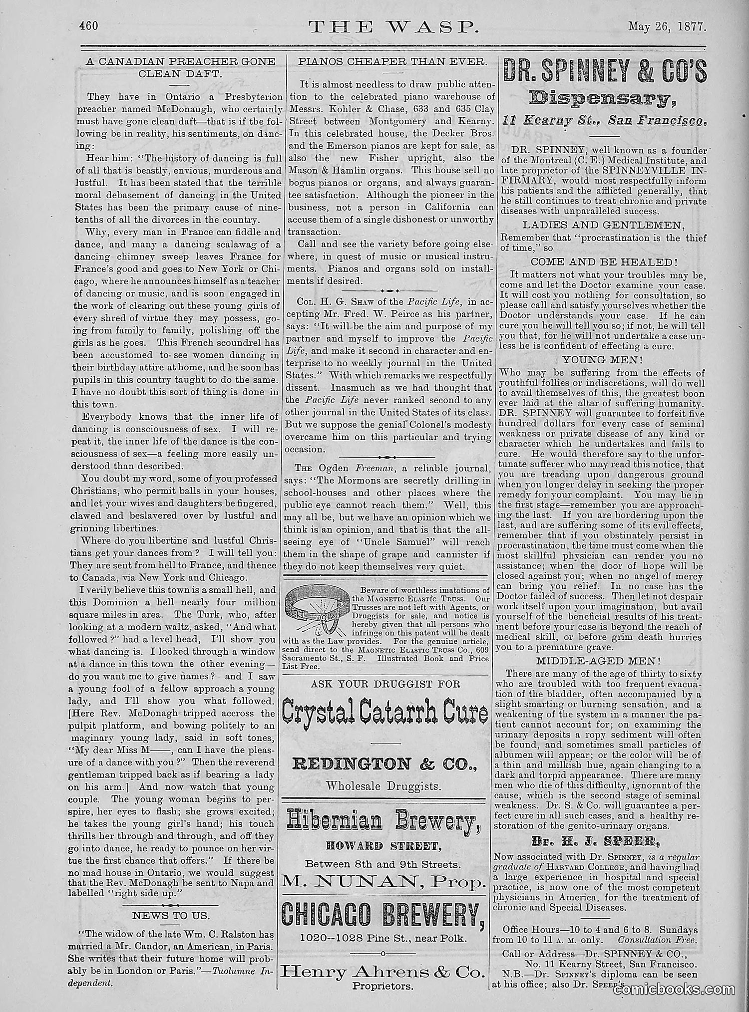 The Wasp — 1877 — page 255 of 378