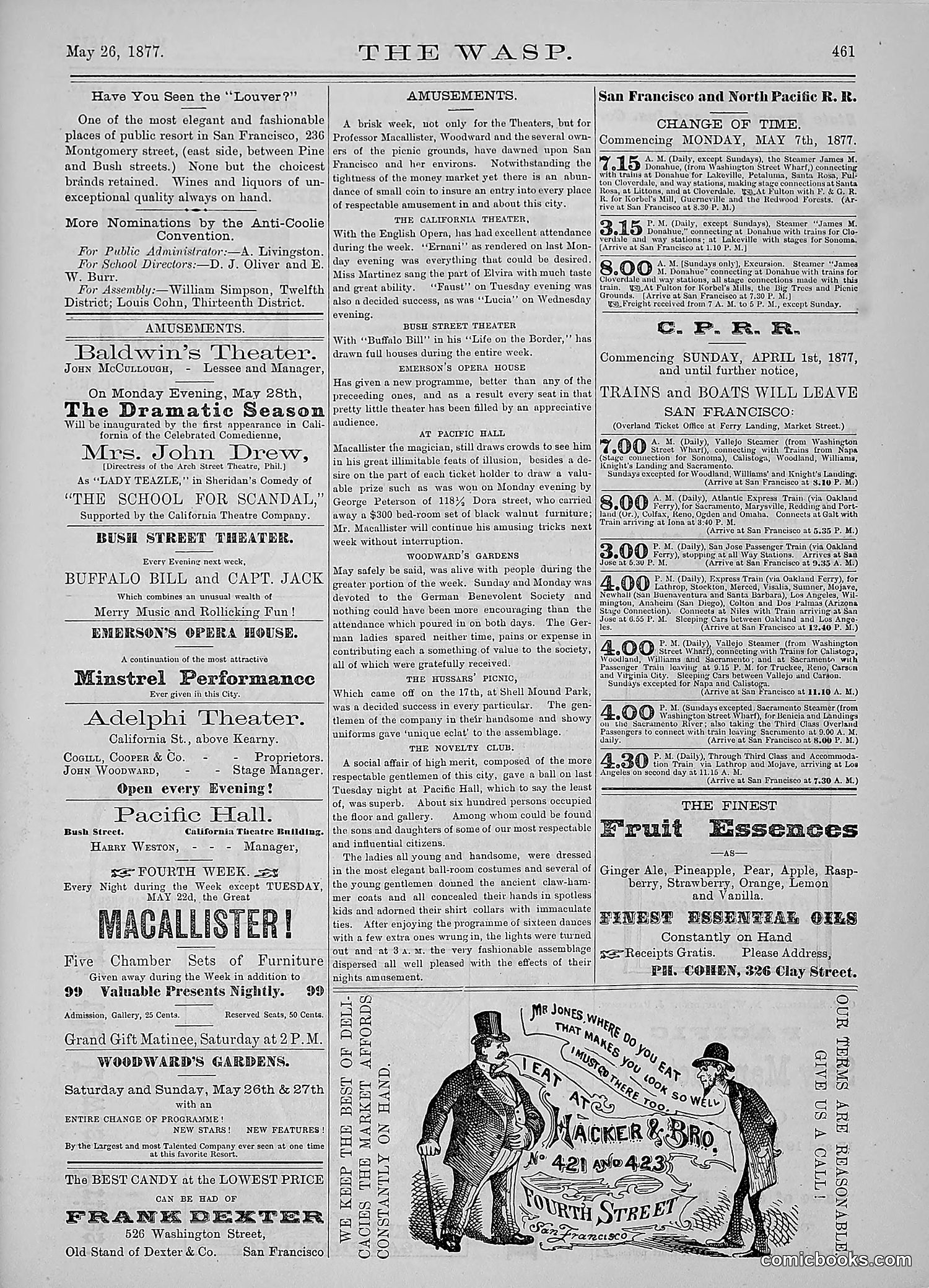 The Wasp — 1877 — page 256 of 378