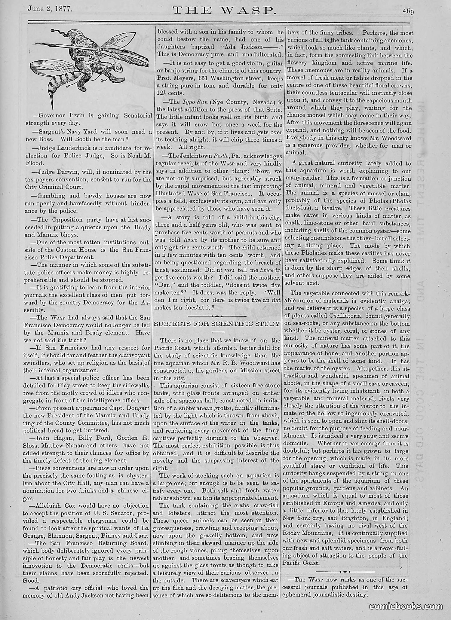 The Wasp — 1877 — page 264 of 378