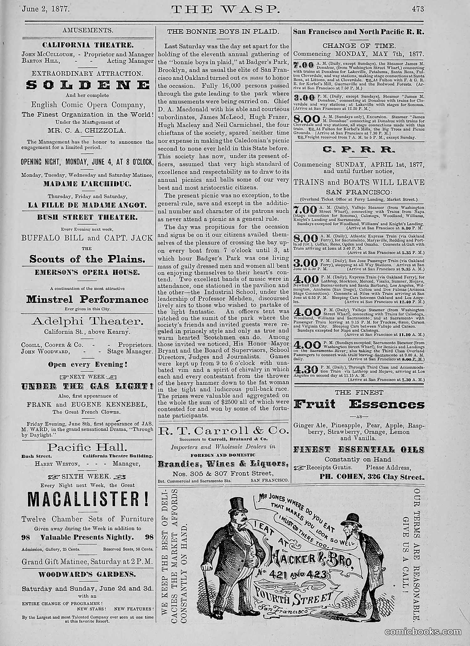 The Wasp — 1877 — page 268 of 378