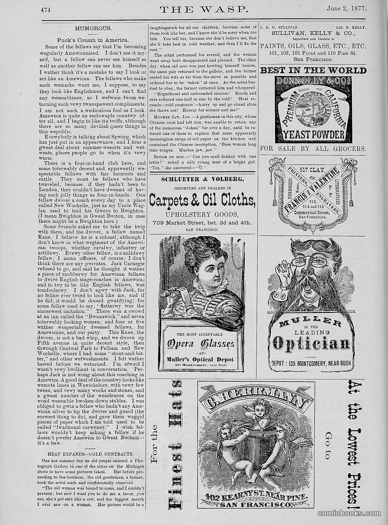 The Wasp — 1877 — page 269 of 378