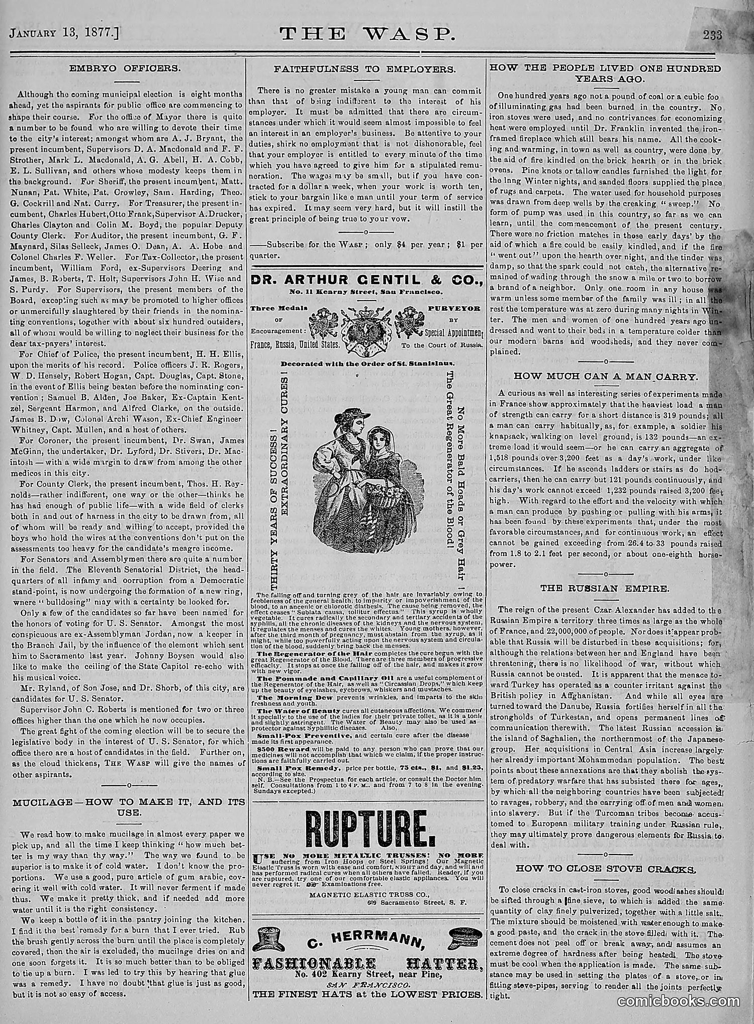 The Wasp — 1877 — page 28 of 378