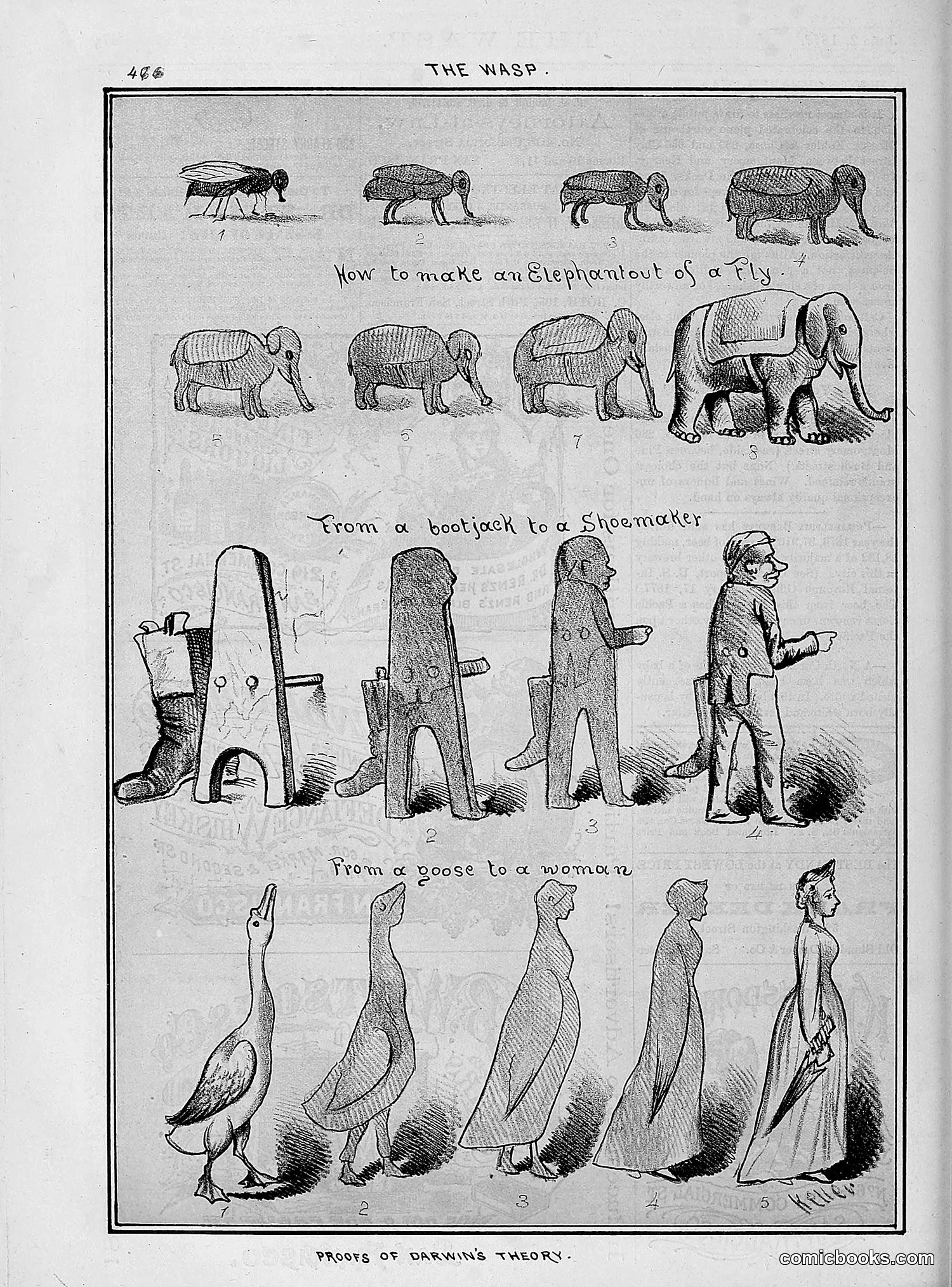 The Wasp — 1877 — page 271 of 378