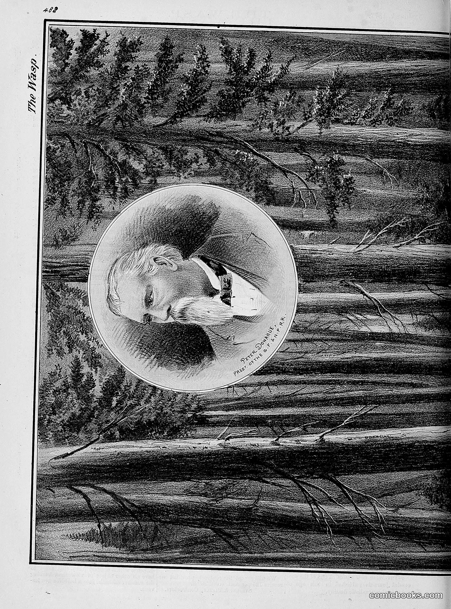 The Wasp — 1877 — page 277 of 378
