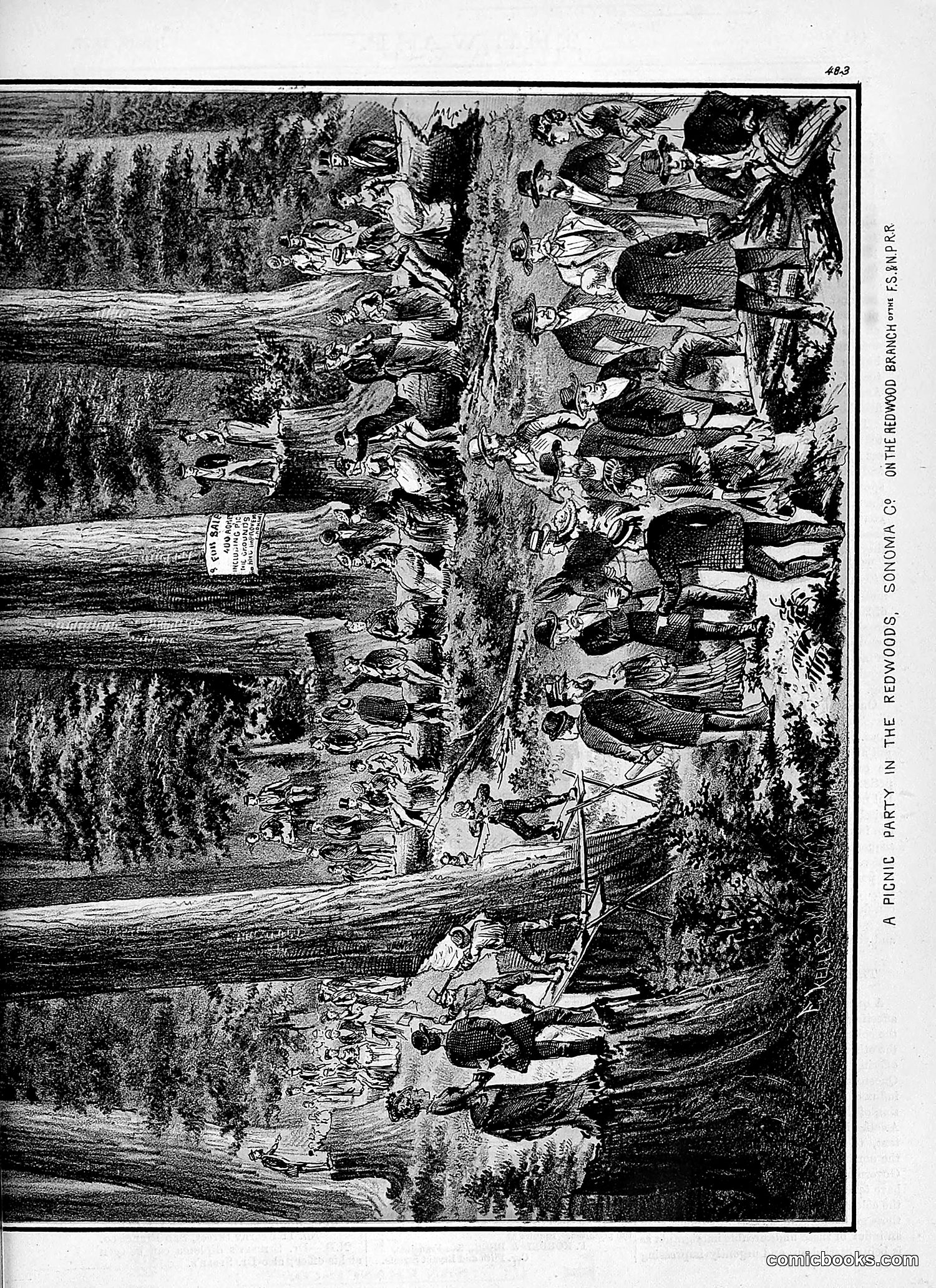 The Wasp — 1877 — page 278 of 378