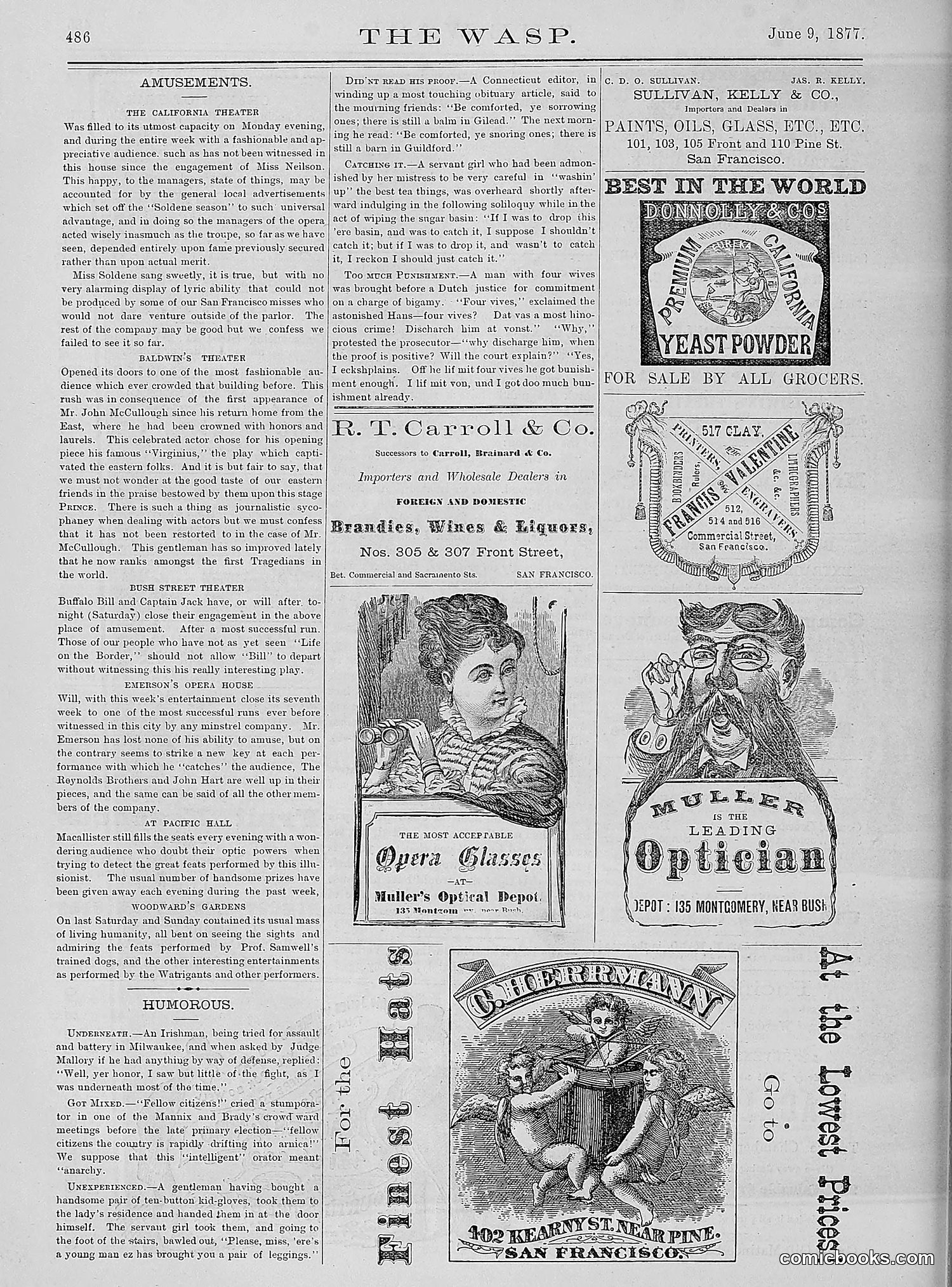 The Wasp — 1877 — page 281 of 378