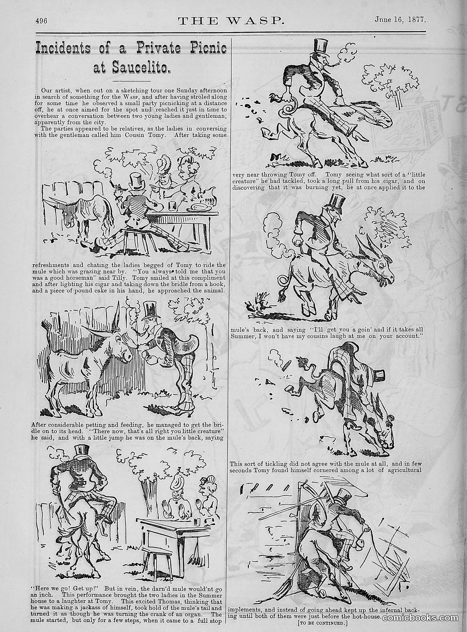 The Wasp — 1877 — page 291 of 378