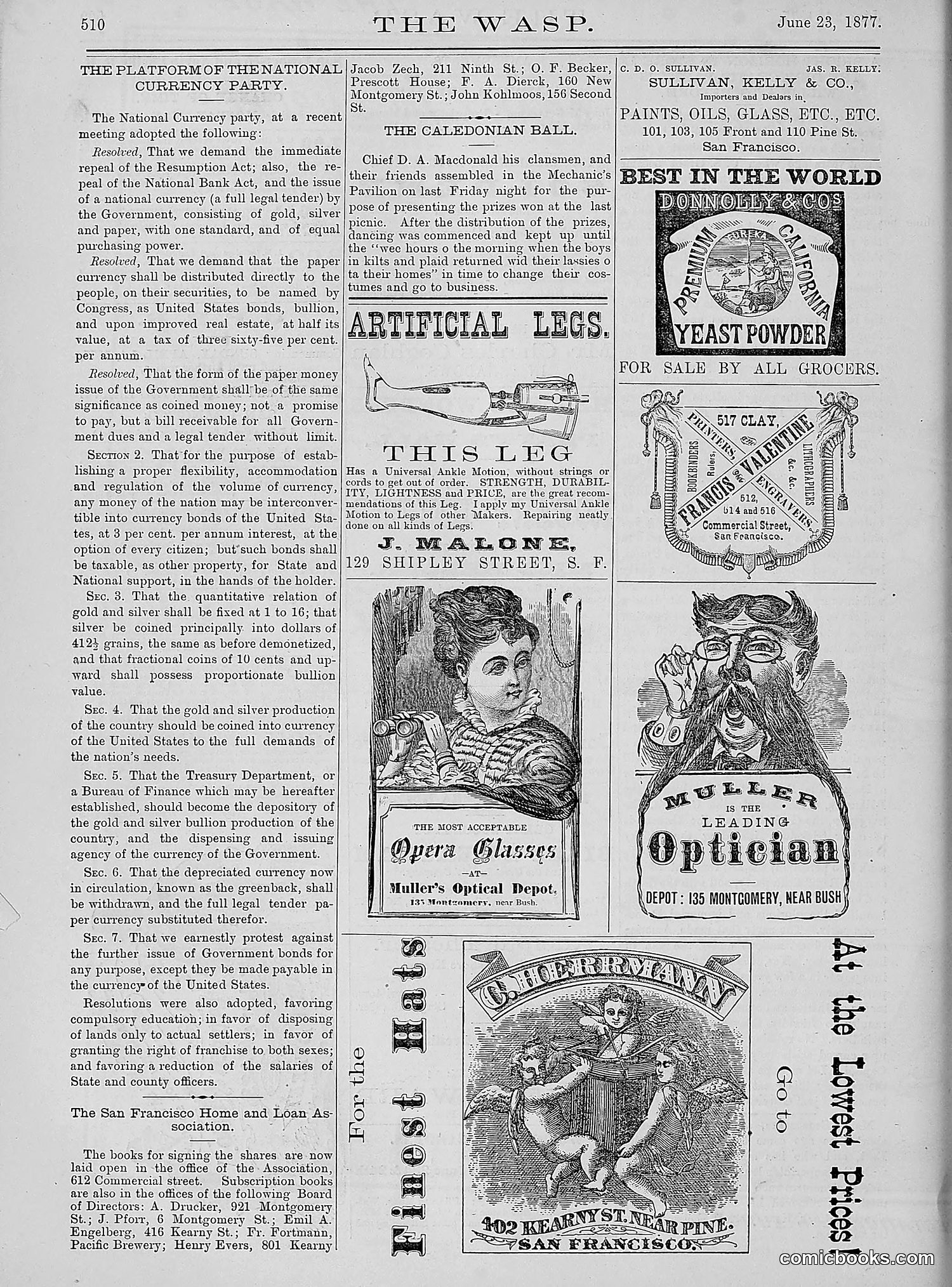 The Wasp — 1877 — page 305 of 378