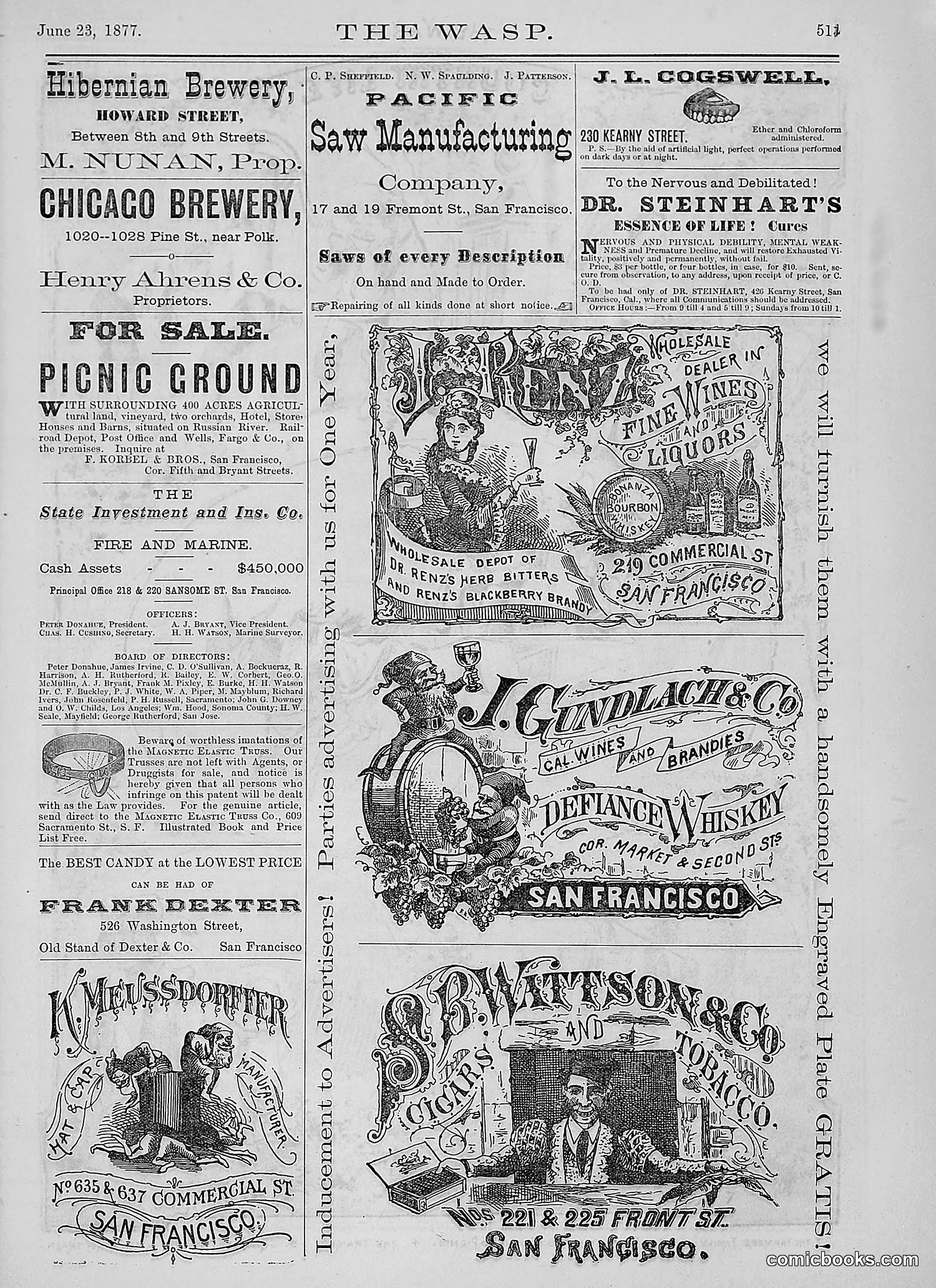 The Wasp — 1877 — page 306 of 378