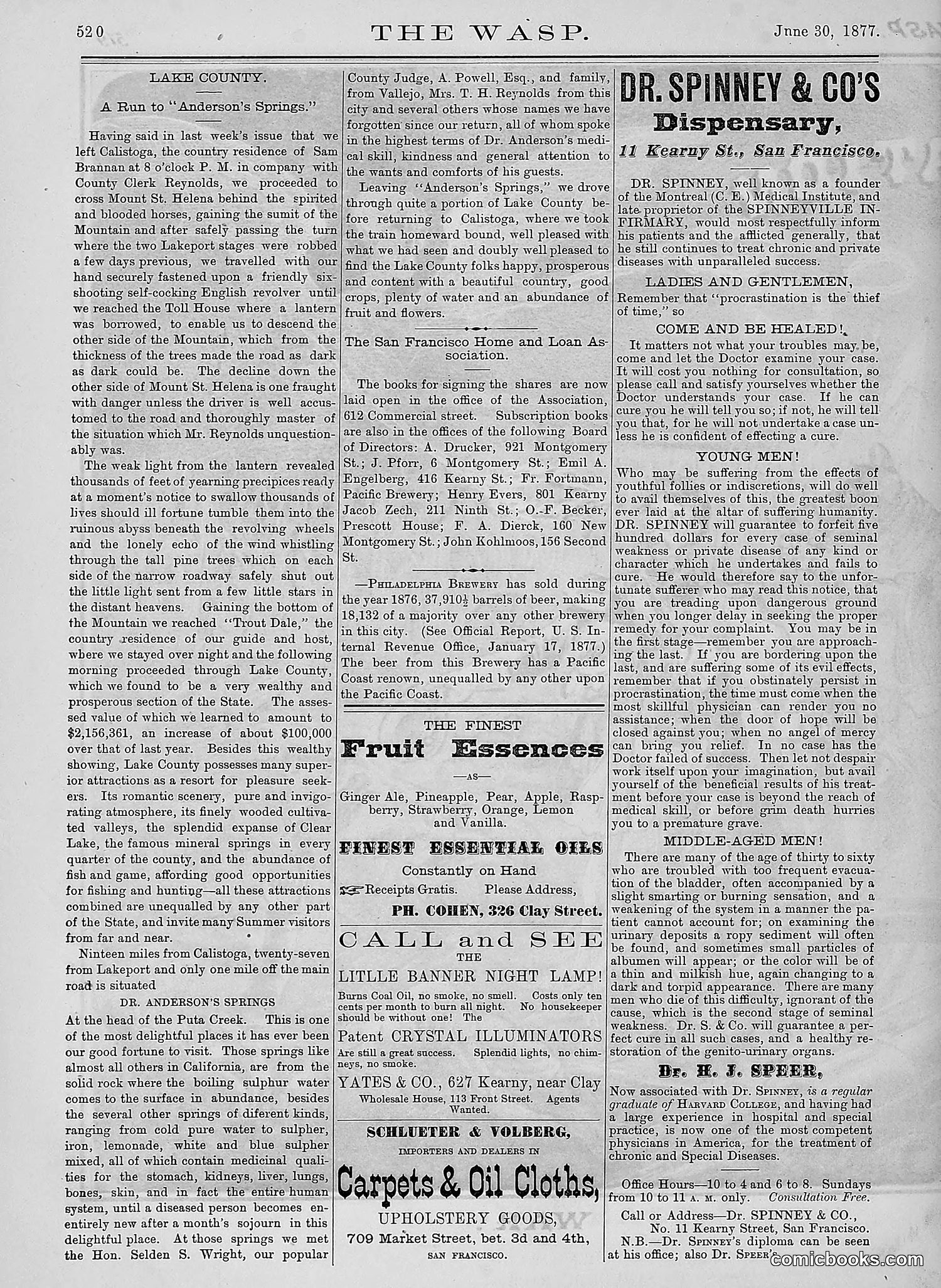 The Wasp — 1877 — page 315 of 378