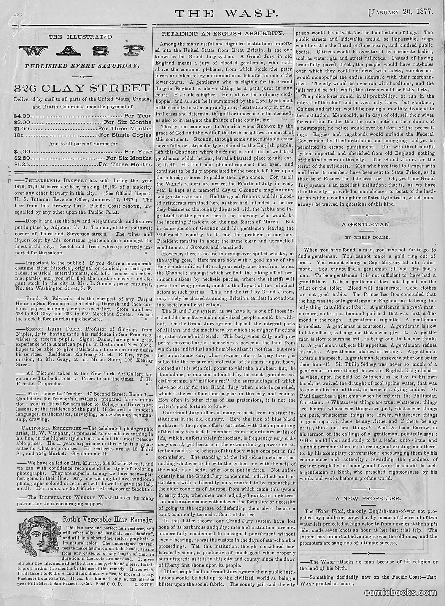 The Wasp — 1877 — page 33 of 378