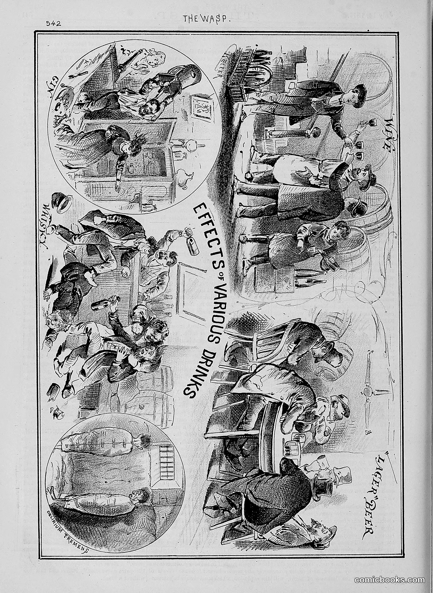 The Wasp — 1877 — page 337 of 378