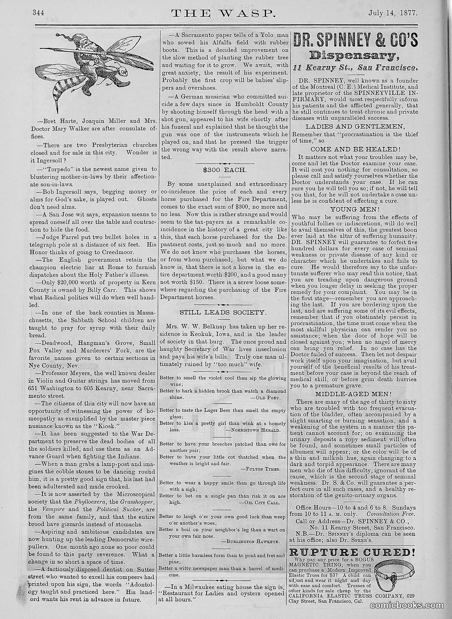 The Wasp — 1877 — page 339 of 378