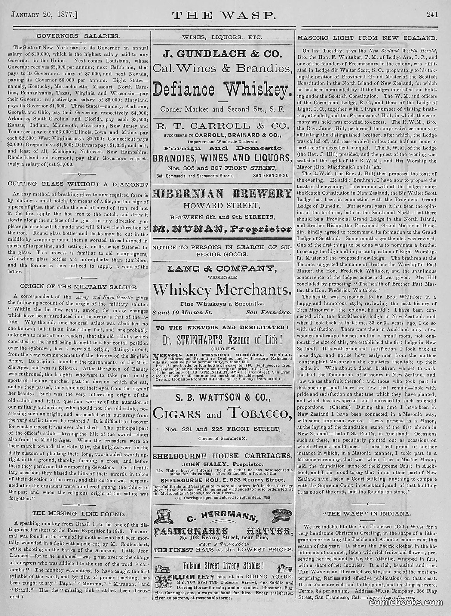 The Wasp — 1877 — page 36 of 378