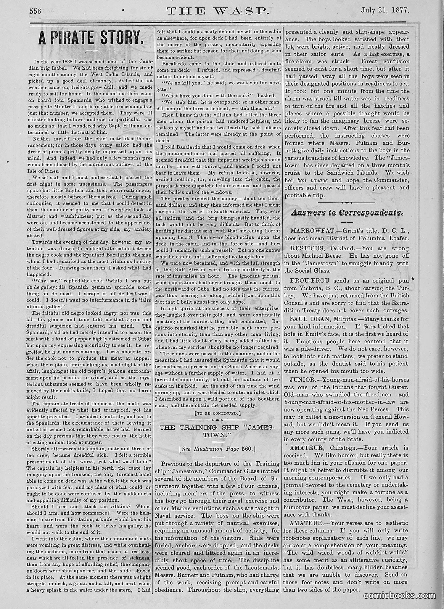 The Wasp — 1877 — page 351 of 378