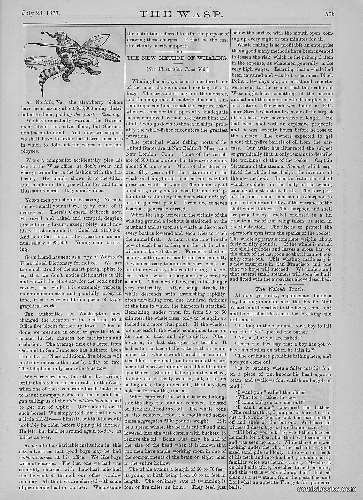 The Wasp — 1877 — page 360 of 378