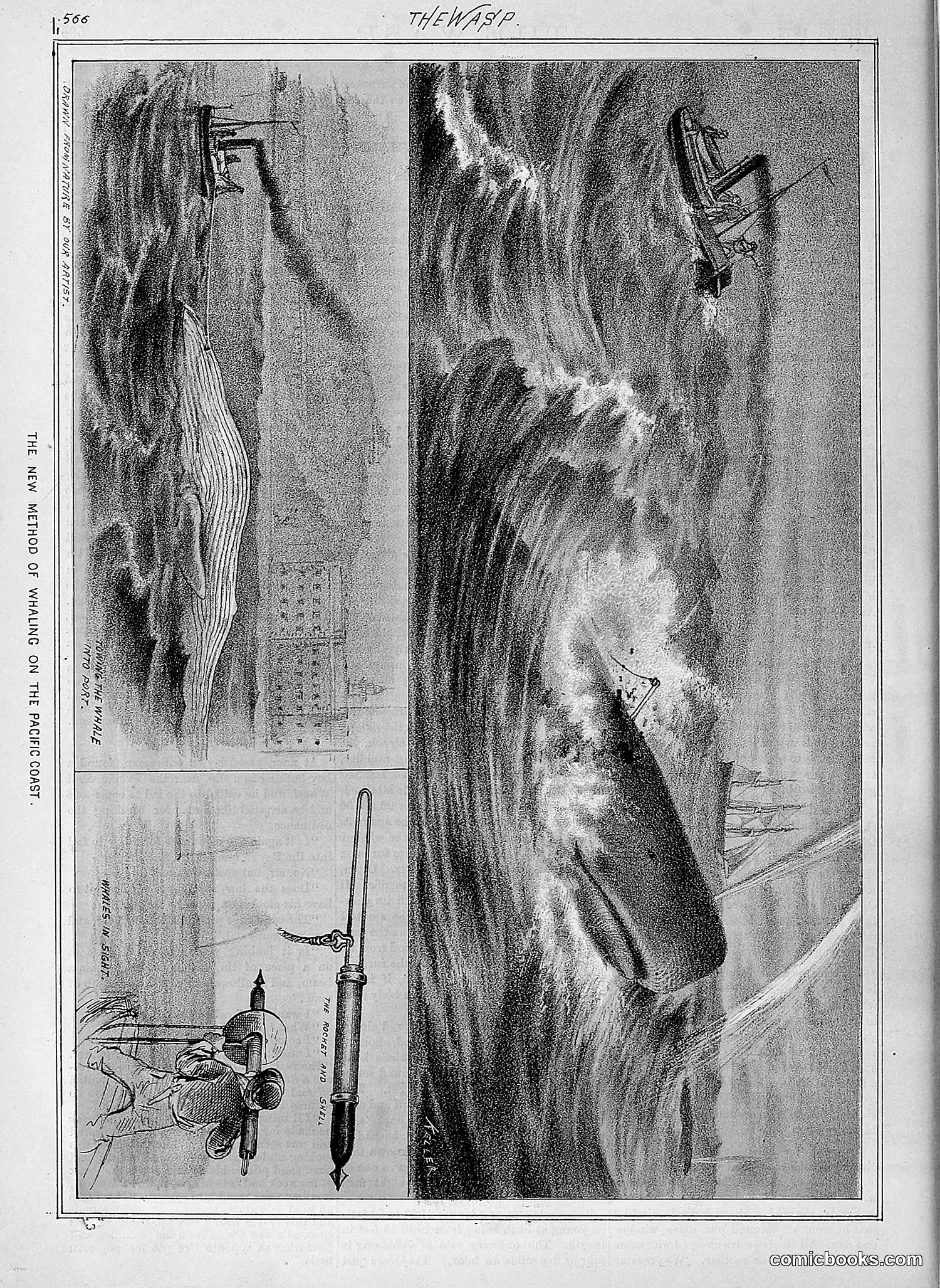 The Wasp — 1877 — page 361 of 378
