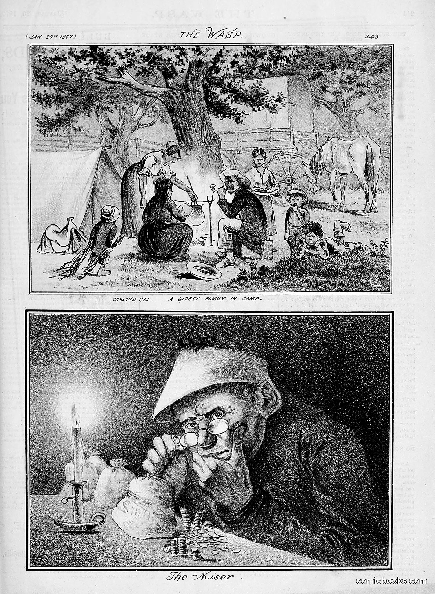 The Wasp — 1877 — page 38 of 378