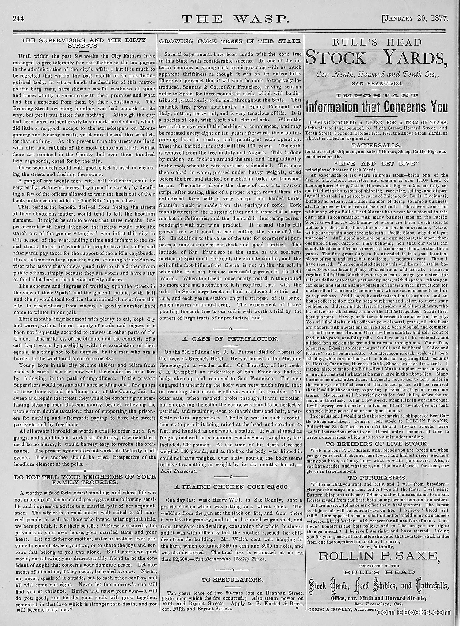 The Wasp — 1877 — page 39 of 378
