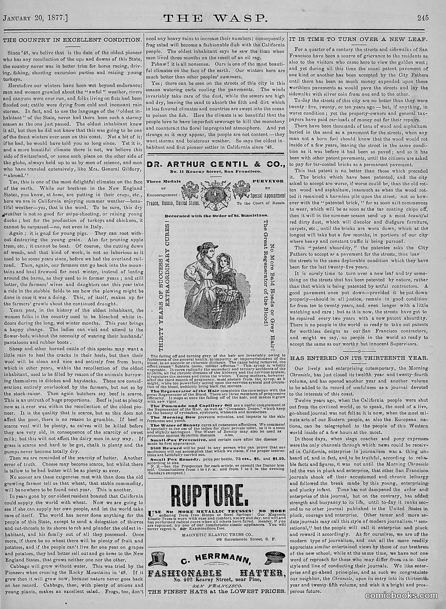 The Wasp — 1877 — page 40 of 378