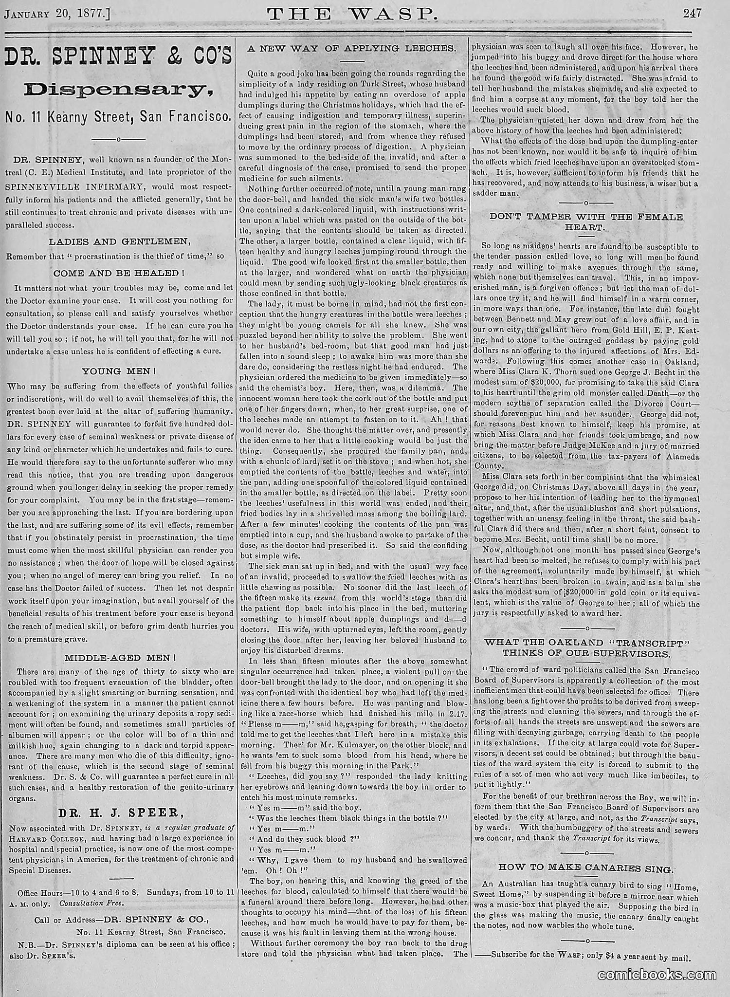 The Wasp — 1877 — page 42 of 378