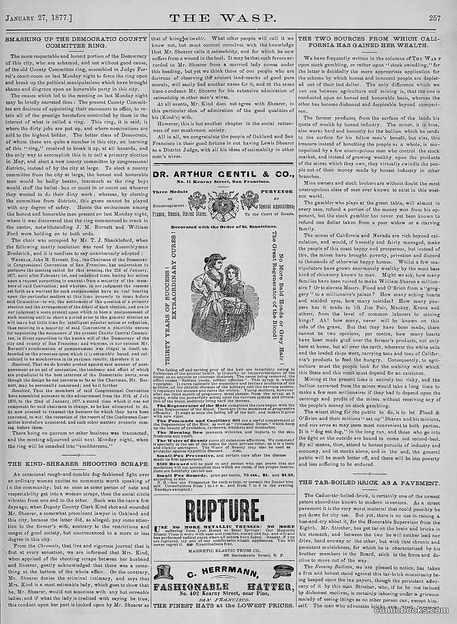 The Wasp — 1877 — page 52 of 378