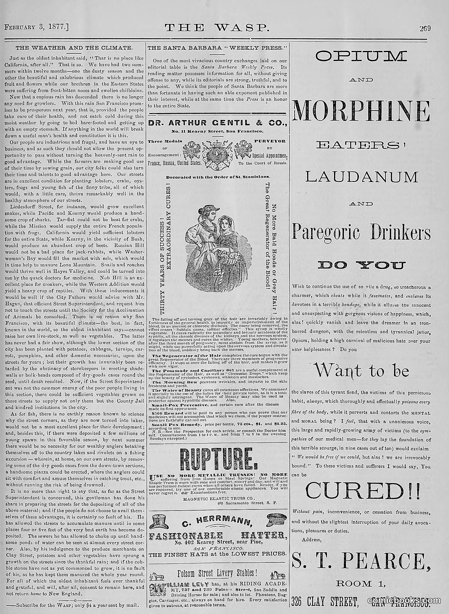 The Wasp — 1877 — page 64 of 378