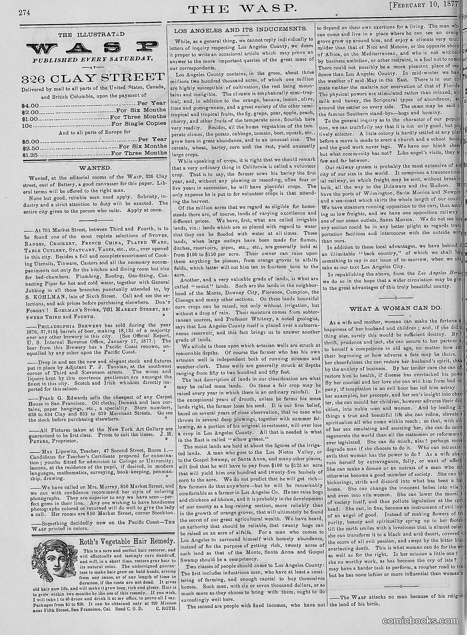 The Wasp — 1877 — page 69 of 378