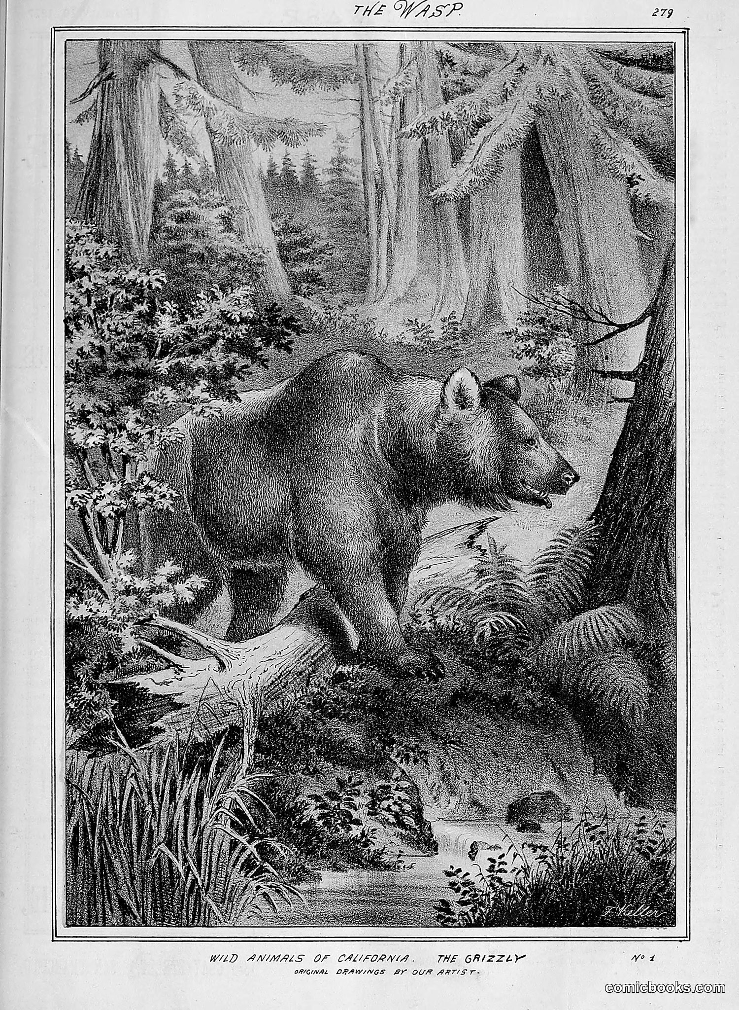 The Wasp — 1877 — page 74 of 378