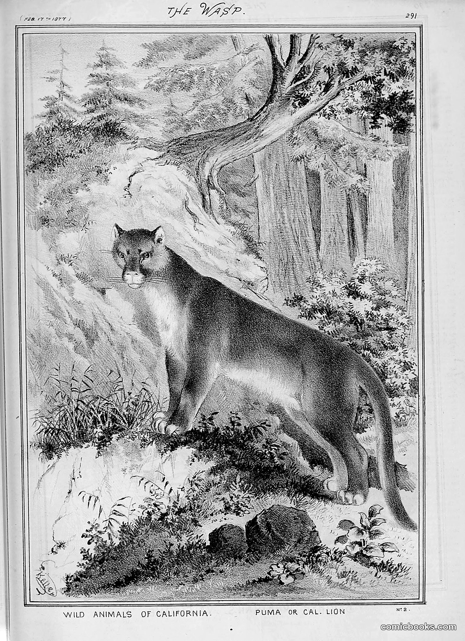 The Wasp — 1877 — page 86 of 378